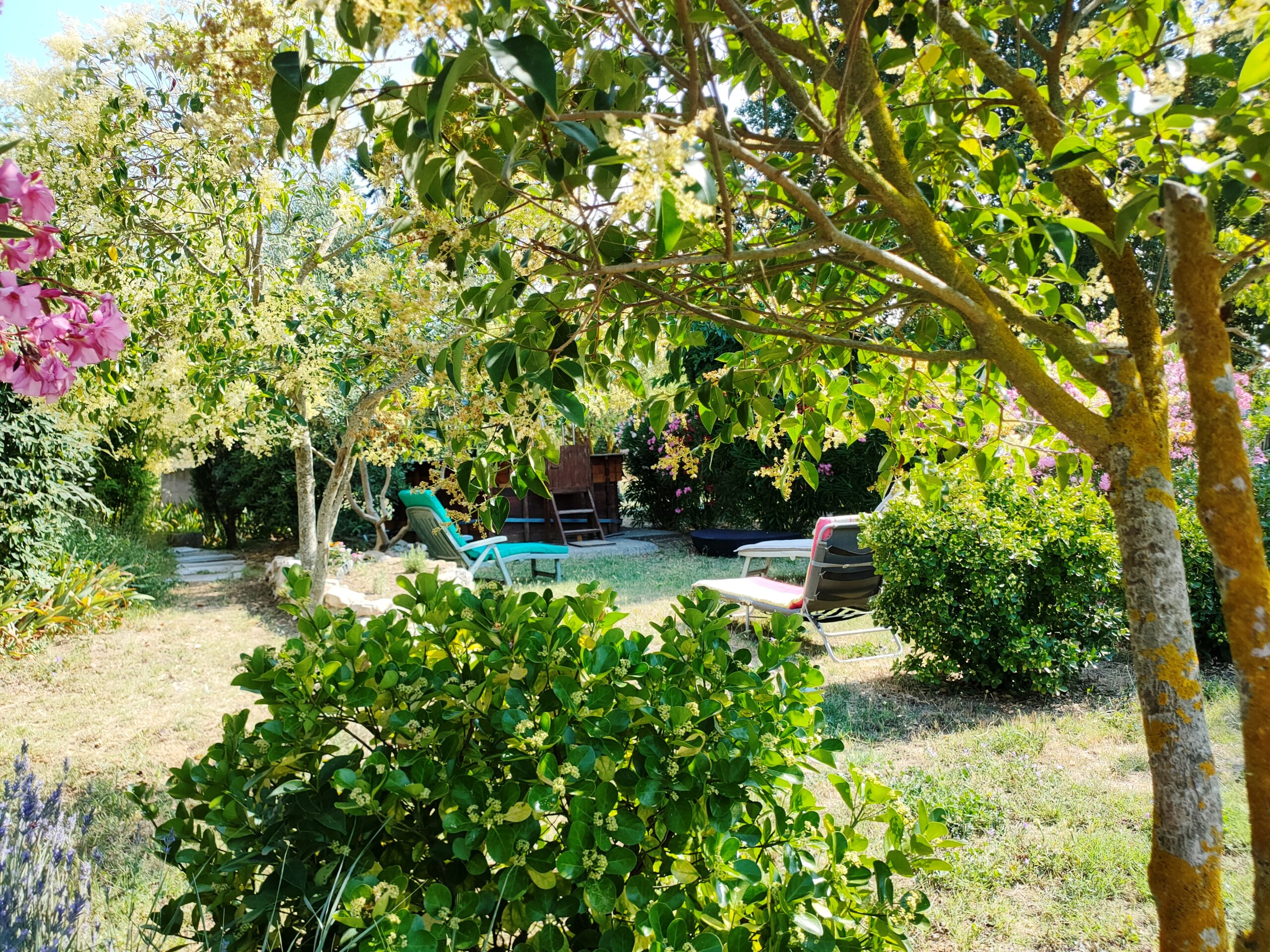 Piscine privée du gîte Les Oliviers