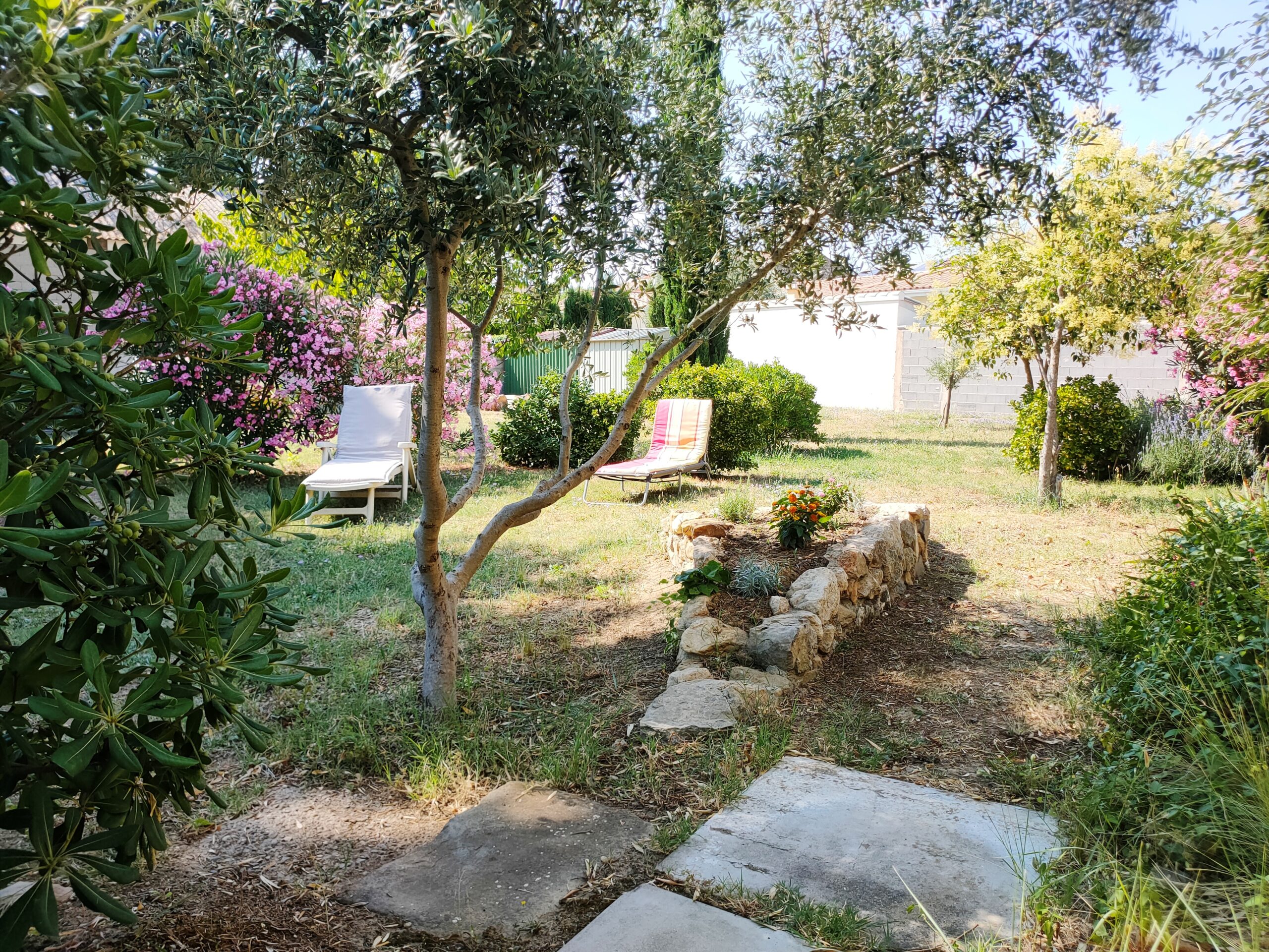 Jardin méditerranéen du gîte Les Oliviers à Canet-d’Aude